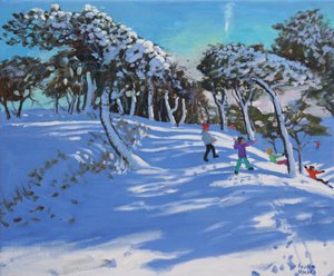 冬天，Ladmanlow，德比郡，2013， 作者 安德鲁·马卡拉（Andrew Macara）